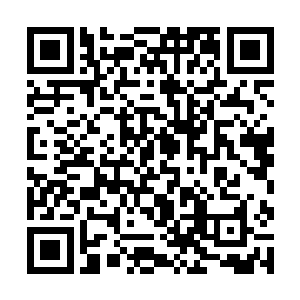 卡纳维亚阵地上的游击队员也早就已经打得苦不堪言二维码生成