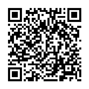 卡里琼斯消失的时间大致和专家遇刺的时间重合二维码生成