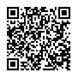 卢八娘一点也没意识到是自己带给他这样大的惊疑二维码生成