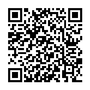 卢八娘从来都认为自己在前进的途中经过了艰苦奋斗二维码生成