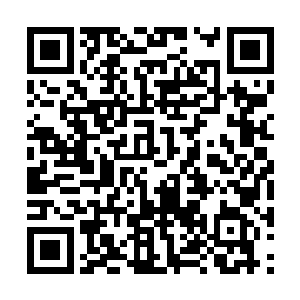 卢八娘以前听人说司马十七郎与池家叔侄间很随意二维码生成