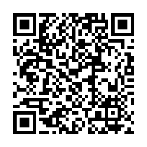 卢八娘带着几个女眷坐在里间听外面的人说起这半年的事二维码生成