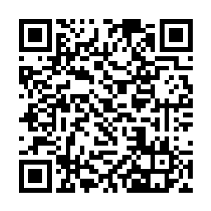 卢八娘这样历经沧桑的人也不敢说自己就能看透什么二维码生成