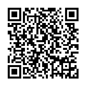卢八娘闻言便熟练地替司马十七郎剥出一壳肉放进他的嘴里二维码生成