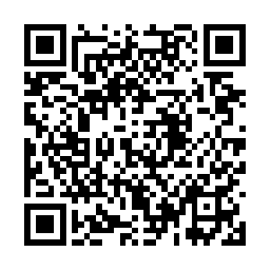 卢卡斯・萨顿为拜仁慕尼黑打进了反超比分的入球二维码生成