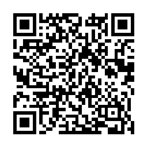 卢卡斯・萨顿的一脚射门在内斯塔的于扰下射的绵软无力二维码生成