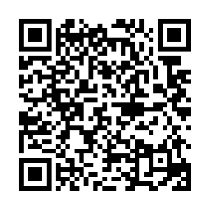 卢卡斯带领剧组几位主要成员来这边做宣传活动的时候二维码生成