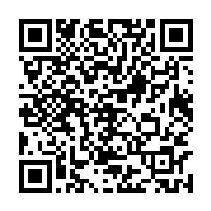 卢向东一个小小的副科级干部哪里会入了她的法眼二维码生成