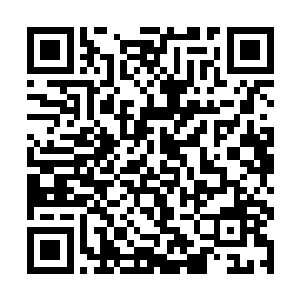 卢向东也不会像杨眉的同事一样整天把中奖放在心上二维码生成