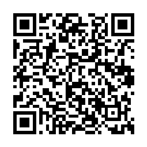 卢向东便把这个在领导跟前露面的机会送给了他二维码生成