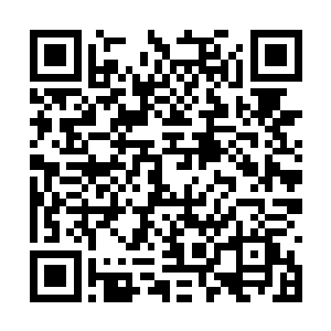 卢向东刚才还有的一丝拘束和紧张也随之烟消云散二维码生成