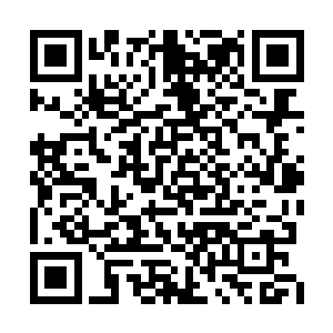 卢向东去找张永年也有可能是为了工作上的事情二维码生成