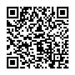 卢向东当时想对没有请假而无故不到岗的人作出开除处分的决定二维码生成