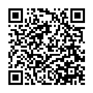 卢向东怎么可能轻易把这么大一栋办公楼交给派出所二维码生成