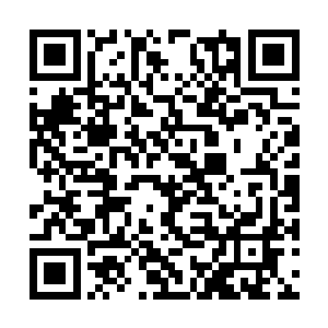 卢向东才想起自己还没有把杨眉的电话存进通讯录二维码生成
