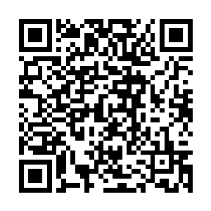 卢向东还是按照自己的想法直接找董正荣作了汇报二维码生成