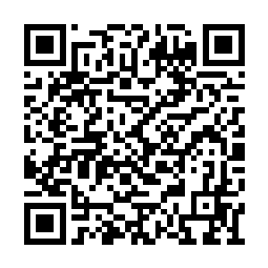 卢向东还清楚地记得那天戴鹏飞在电话里的态度二维码生成