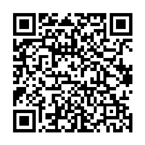 卢向东额头上那道硬币大小的伤疤是他上次出车祸留下来的二维码生成
