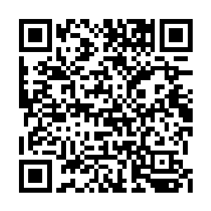 卢老将军望着一群群按官阶聚集在一起的文官们二维码生成