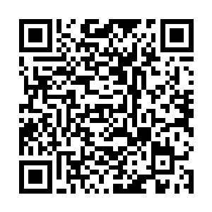 卧槽回来狗日的把我拉到这你他么跑了你这是几个意思二维码生成
