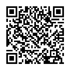 卫兰戈都能感觉到办公室里气氛几乎要凝滞住了二维码生成