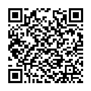 卫兵明晃晃的枪尖也不能让他们多一丝一毫的顾忌二维码生成