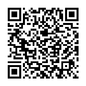 卫华都打算跟国家打报告让杨晨的灵能技术去建设风洞了二维码生成