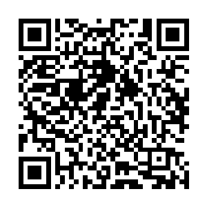 卫海川有意无意点出了王一清和贾奎良的师门有来头这件事二维码生成