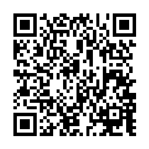 卫蘅的曲苑里有江南手艺最好的十二个裁缝和绣娘二维码生成