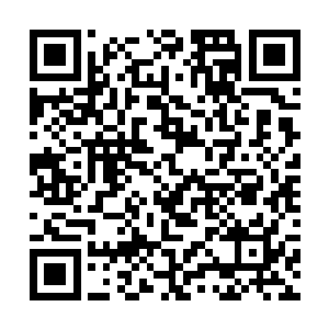 卫蘅见朵丽公主将外面罩着的华丽的鲜红衣裙一掀开二维码生成