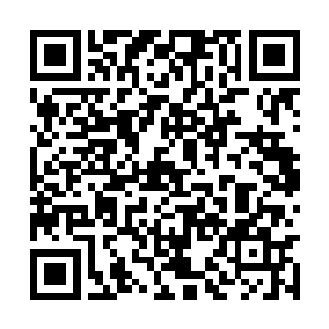 印兄便无需再向世人隐藏你真正的实力了……届时二维码生成