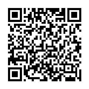 印千华拿着干部处打印出来的一张申请材料问梁可意道二维码生成