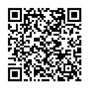 即使不知道其他人是不是能在开启前从炼心塔出来二维码生成