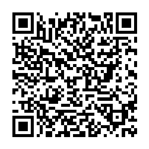 即使为了截断富弼后路从而为没藏讹庞攻陷秦王川铺平道路也说不通二维码生成