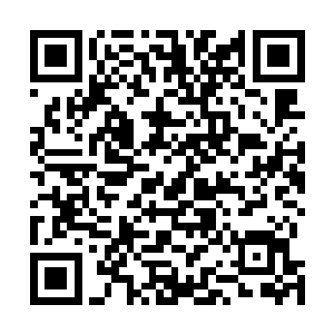 即使在副驾驶席上动弹不得也仍然是一副拽得要死的样子二维码生成