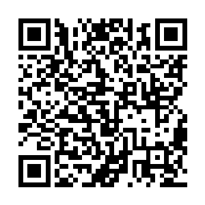 即使在怎么告诉自己想要平静的像个大家闺秀一样的生活二维码生成