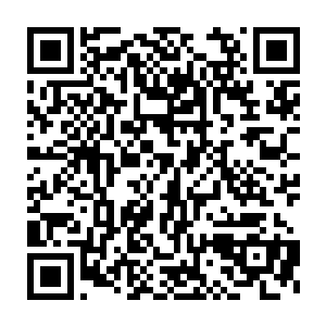 即使在赵阀私军中也只有军官以及前锋营这类特殊编制部队方能得以配二维码生成