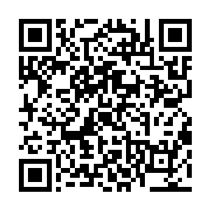 即使在黑暗中也能清清楚楚的看到他们向前推进的惊人速度二维码生成