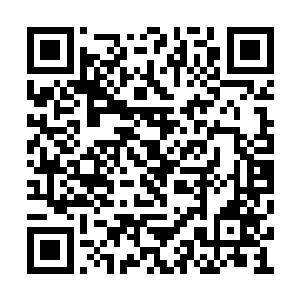 即使大家一直强调奥斯卡是一场电影狂欢的派对二维码生成