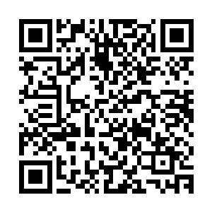 即使她自称苏醉蝶只要王爷没有承认在这些人眼里那就不是真的二维码生成