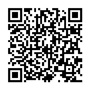 即使她问的没头没脑闵谌也反应过来她是察觉到自己的冷漠二维码生成