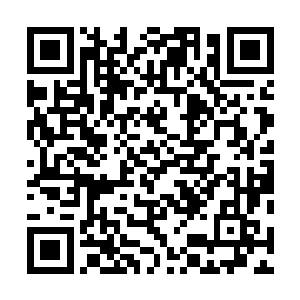 即使当初被他溶解的艾莎的功德戒指内部空间也大得惊人二维码生成