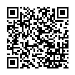 即使影分身有再大的力量也没能挣脱出这锁链的围困二维码生成