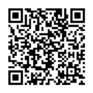 即使得了墨修尧的许多指点初初上手还是忍不住有些心理发虚二维码生成