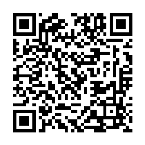 即使御剑飞行也整整用去了林辰近五六个钟头的时间二维码生成