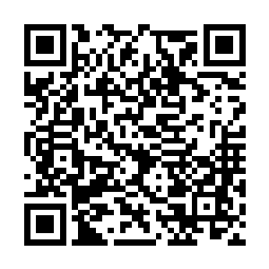 即使撒娇他那看似温润的父亲也不会遂了他的心愿二维码生成