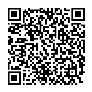 即使是依旧处于盛夏的阳光也没有能够将沙粒之间的瑟瑟消融殆尽二维码生成