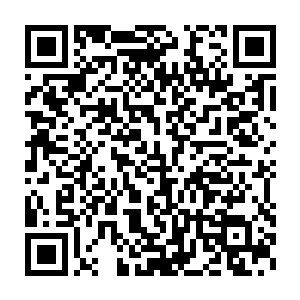 即使是偶尔出现一个也大多数是有点凤族和麒麟族血脉的后裔而已二维码生成