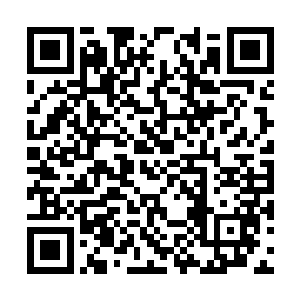 即使是呆板不爱说话的赤炼都对爷爷有莫名的好感二维码生成