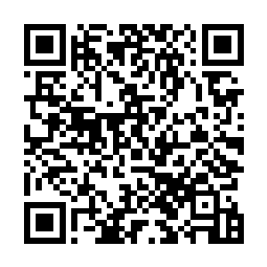 即使是喜欢探索秘境的达鲁尔男爵也不会出现在这种地方二维码生成